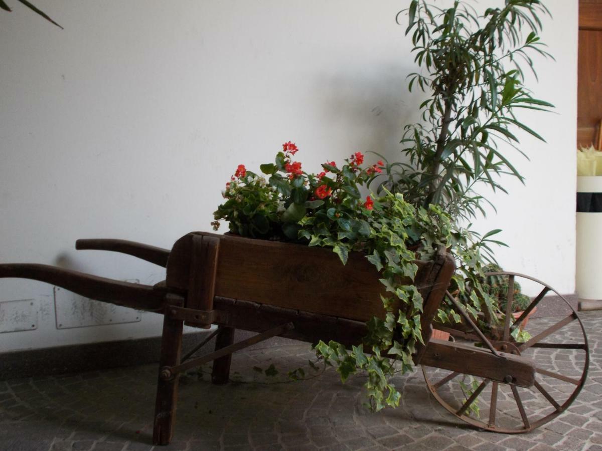 “La Loggia” Apartment Casale Monferrato Buitenkant foto
